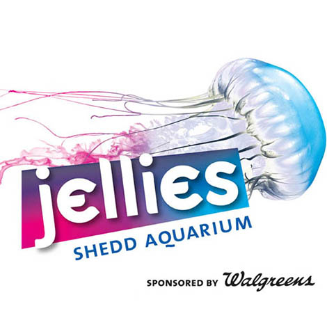 Remember when the Shedd Aquarium got jelly fish? We printed shirts for that.